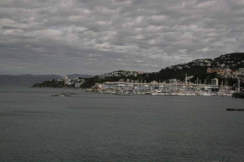 Nieuw-Zeeland 2011 - 0913